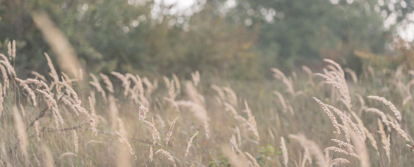 Kind en puber coaching