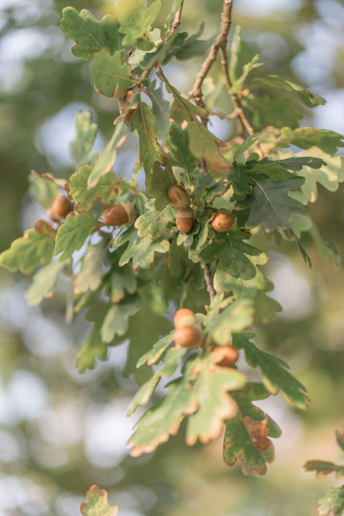 Vergoeding en kwaliteit